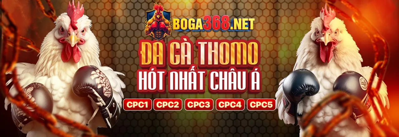 Giấy Phép Hoạt Động của FB88 Nhà Cái